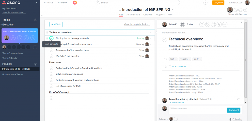 2016-03-20 19_11_32-Introduction of IGP SPRING - Techincal overview_ - Asana